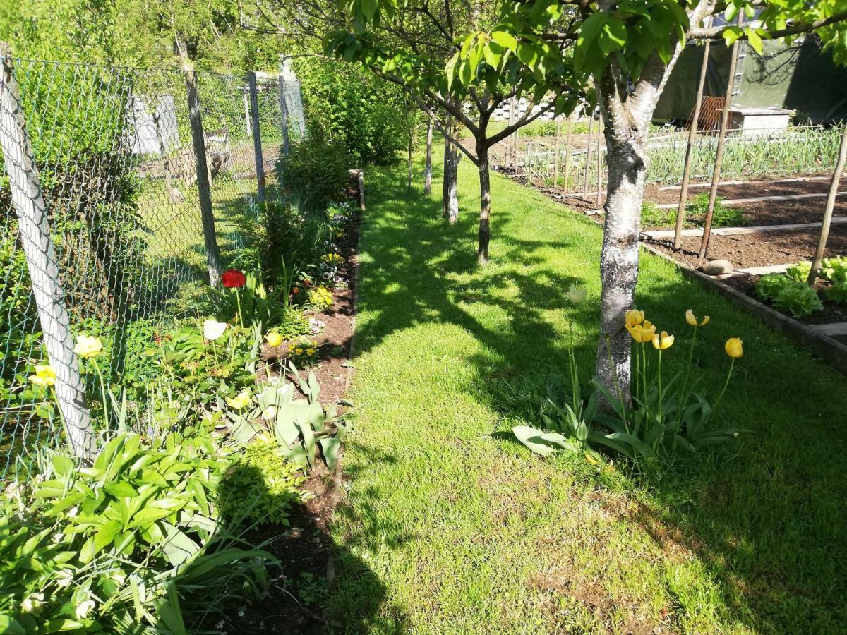 Apartment Sopar Skofja Loka ภายนอก รูปภาพ